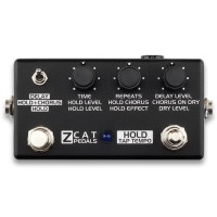 Zcat Hold delay chorus with